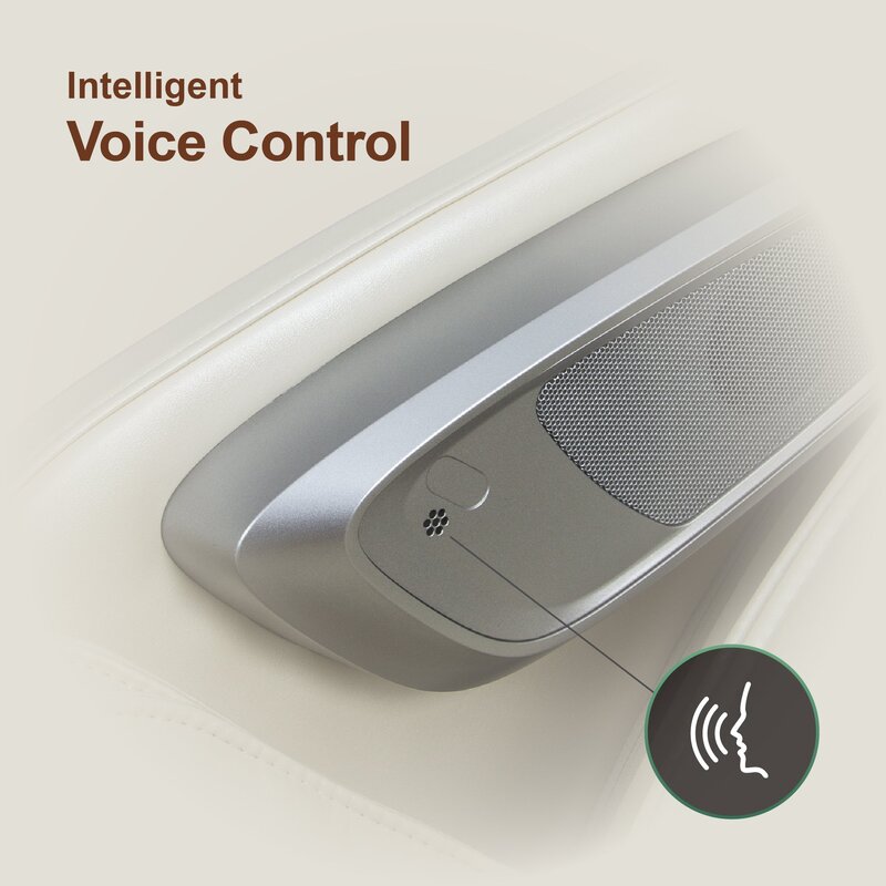 Intelligent Voice Control​